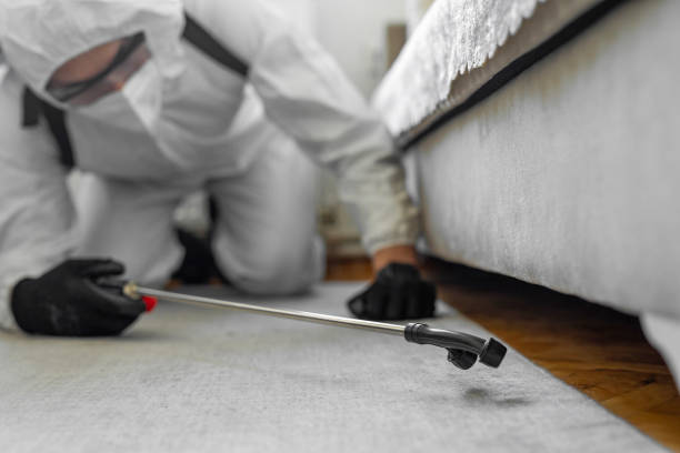 Professional Bed Bug Control technician working in St. James, NC